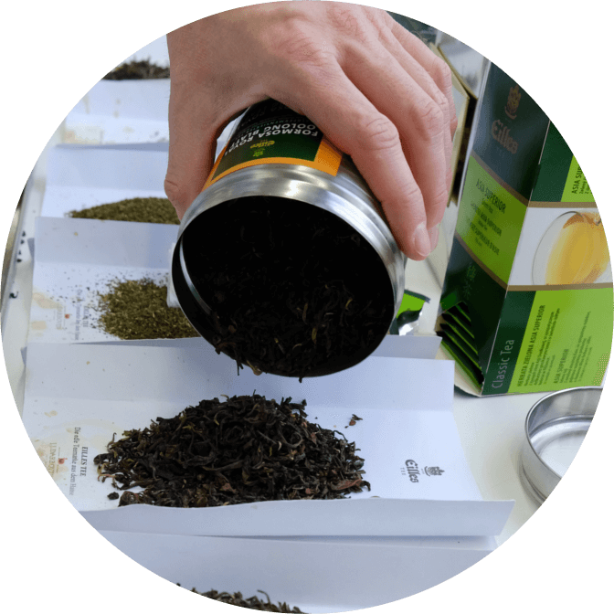 Inicio - Productos Destacados | Mahugo Distribuciones - 15